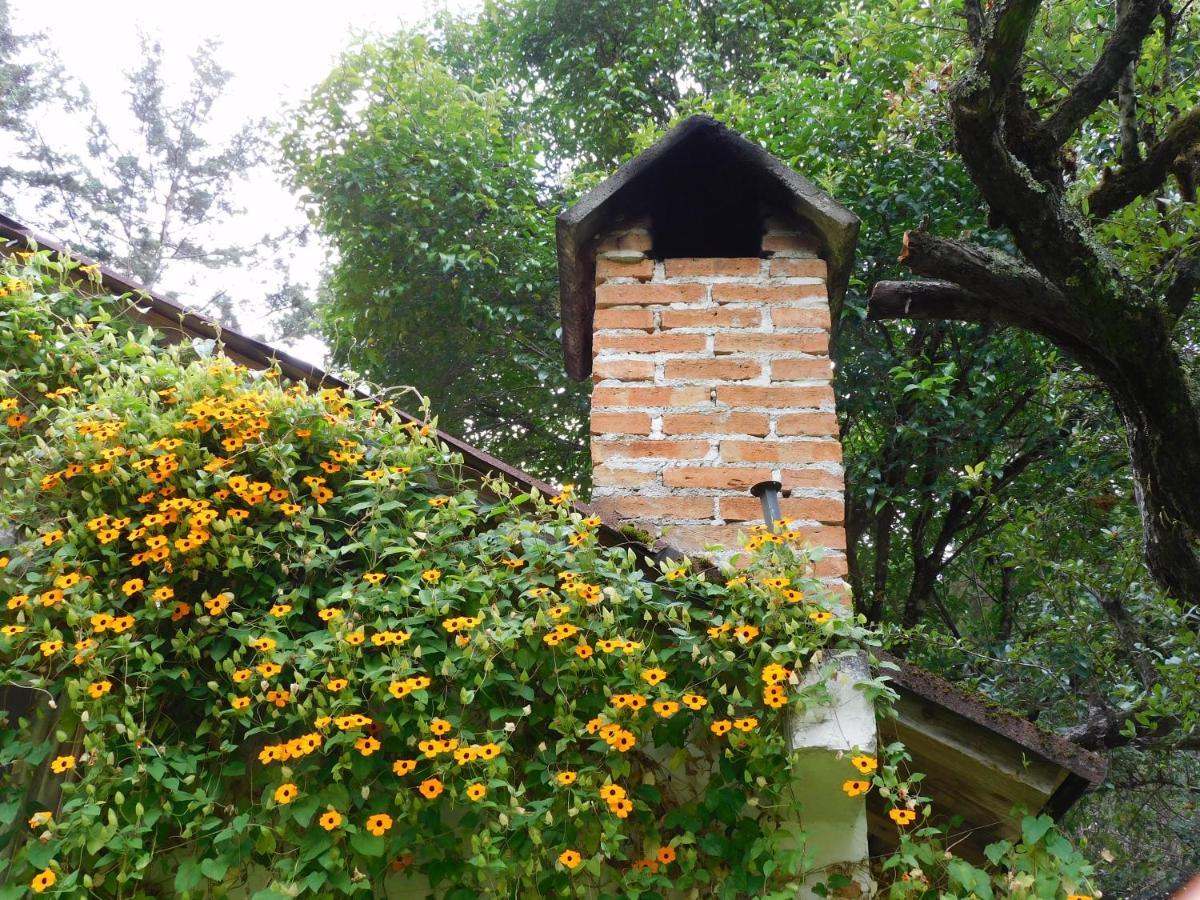 San Cristóbal de Las Casas San Nicolas By Rotamundos מראה חיצוני תמונה