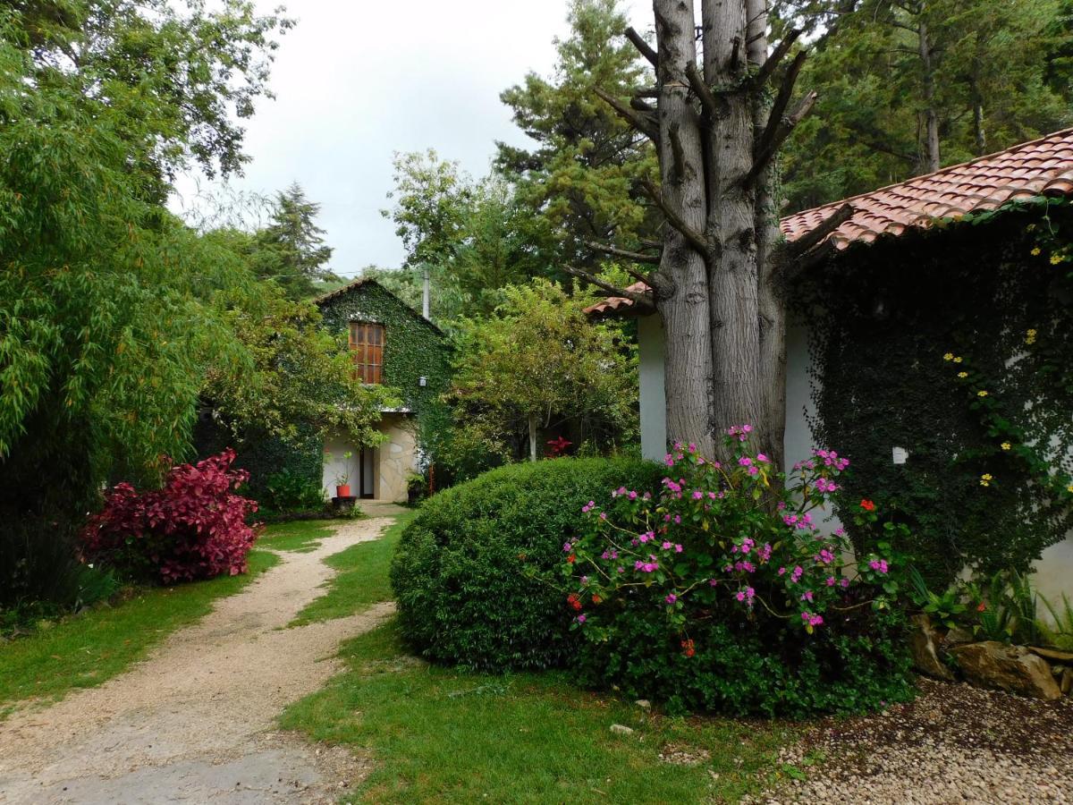 San Cristóbal de Las Casas San Nicolas By Rotamundos מראה חיצוני תמונה