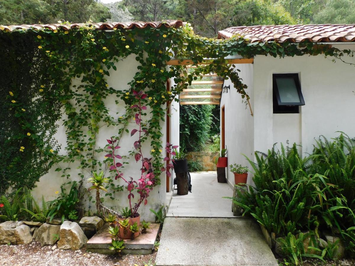 San Cristóbal de Las Casas San Nicolas By Rotamundos מראה חיצוני תמונה